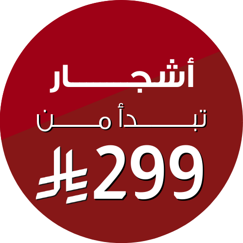 S3_727_اشجار